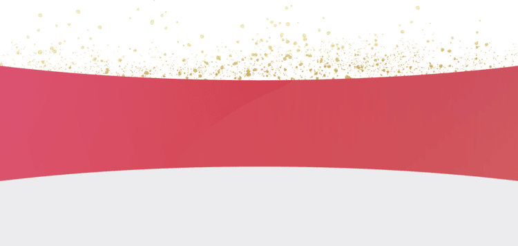 Netzwerkpartner outro